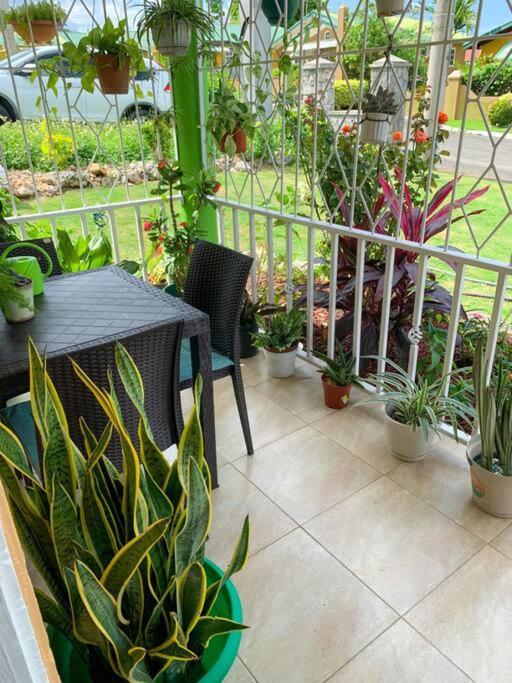 Cozy Villa Mammee Bay Zewnętrze zdjęcie